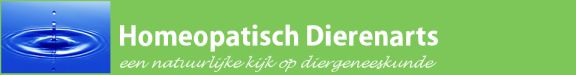 homeopathisch dierenarts een natuurlijke kijk op dierengeneeskunde
