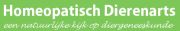 homeopathisch dierenarts een natuurlijke kijk op dierengeneeskunde